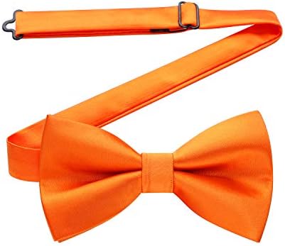 HISDERN Mens Paisley Pre-Tied Bow Set Adjustable Formal Neck Bowtie for Wedding Party