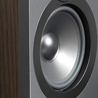 Q.Acoustics QA3022 Enceinte pour Tous appareils Noisette - Les Beatles, Paul McCartney, John Lennon, RIngo Starr, George Harrison Q.Acoustics QA3022 Enceinte pour Tous appareils Noisette – Image 4