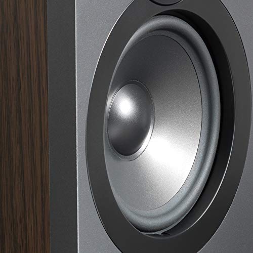 Q.Acoustics QA3022 Enceinte pour Tous appareils Noisette - Les Beatles, Paul McCartney, John Lennon, RIngo Starr, George Harrison Q.Acoustics QA3022 Enceinte pour Tous appareils Noisette – Image 5