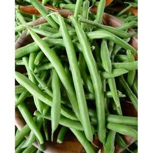 beans win Bean, Blue Lake 47 Bush - Burpee