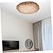 Lurrose 2pcs Anti-dazzling Lampshade Diffuser Covers for Pendant and Table Lamps Simple Chandelier Replacement Shades Light Shading Tool for Bedroom and Living