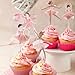 Humyoun 36 Ballerina Cupcake Kit Colorful Ballet Tutu Dancer Girls Cupcake Toppers Ballet Slipper Picks Dancing Cake Dessert Muffin Toppers for Wedding Baby Shower Birthday Party