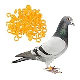 DIKACA 200 個鳥足輪 鸠足環 付き 脚環 家禽用 脚識別リング 鳥識別タグ 脚環リング ランダムカラー
