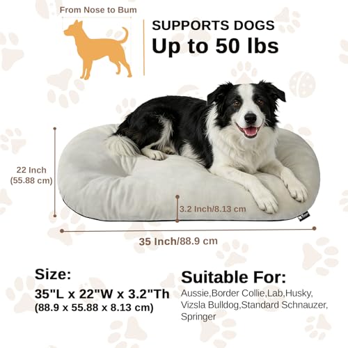 Image of Washable Oval Dog Bed for Large Dogs, Silver-Tipped High-Resilience, Beige