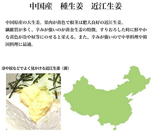 Amazon.co.jp: 種生姜 黄金生姜 種用 10kg (中国産近江生姜) : 食品