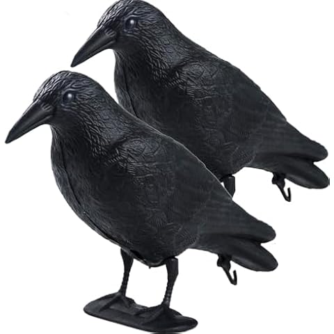 Life-Sized Crow Decoy by CYTGOUOER Cover