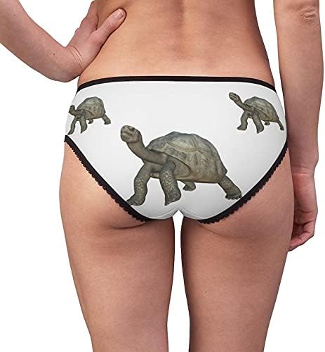 Galapagos Tortoise Panties, Galapagos Tortoise Underwear, Briefs, Cotton Briefs, Funny Underwear, Panties For Women