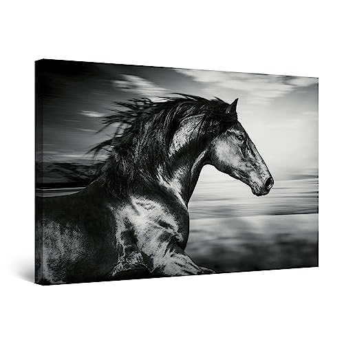 Startonight Impression sur Toile Lumineux Course de Cheval Noir - Tableau Abstrait - Decoration Murale Salon Moderne - Image sur Toile - Grande 80 x 120 cm...