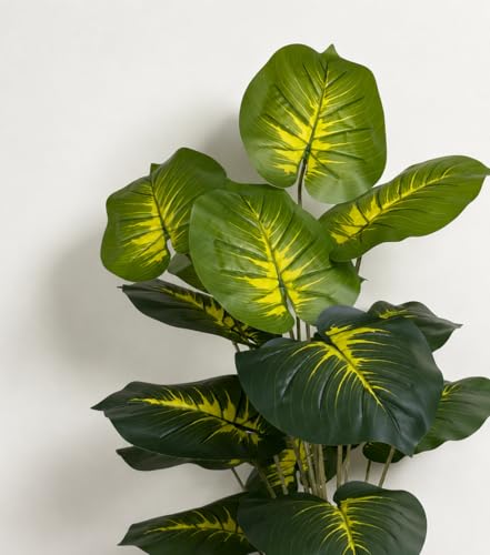 Image of Cocco.BUA Artificial Dieffenbachia Plant with Black Pot |18 Leaves | 76 cm (2.5 Feet) Tall Realistic Indoor Plant for Living Room, Office & Home Decor
