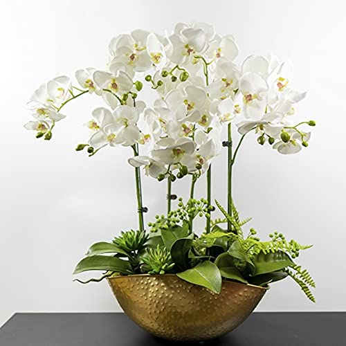 Rode Phalaenopsis Zaden, 100 Stks/zak Phalaenopsis Zaden Orchidee Bloem Bonsai Planten Multi-Color Bloei Indoor Outdoor… - Afbeelding 5