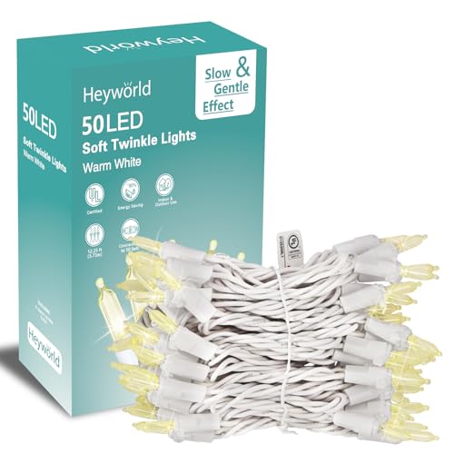 Heyworld Slow Twinkle Lights, 50 Led Soft Twinkling Mini Christmas String Lights on White 