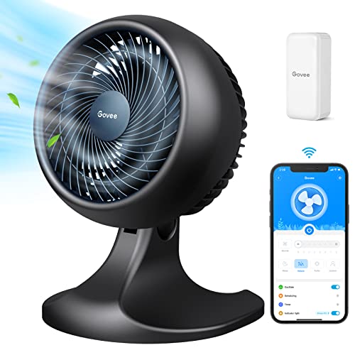 App Controlled Fan