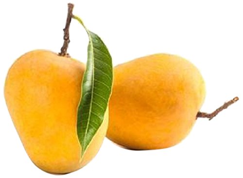 Image of Fresh Organic Mango Alphonso, 6 pcs (1-1.2kg)