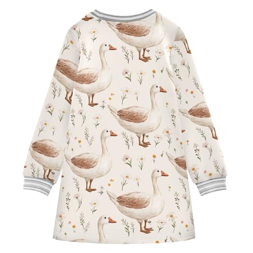 Hand Drawn Goose Girls Dresses Long Sleeve Sweatshirt Dress for Girls Winter Toddler Casual A Line Dresses Size 2-8T2