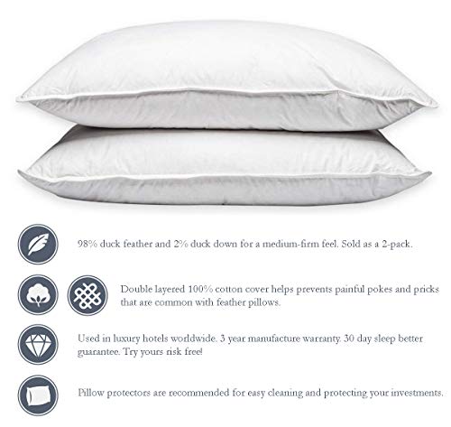 Hotel Feather And Down Queen Size Bed Pillow Set (2 Pack) #TOP2