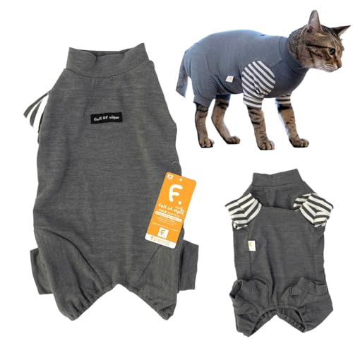 L EH[{[_[  Ȃ p[X 畆ی L̕ tIurK[ 13/O[ CM