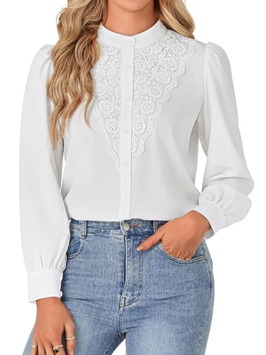 Rooscier Women's Lace Mock Long Sleeve Button Down Elegant Blouse Shirt Top Fall Clothes
