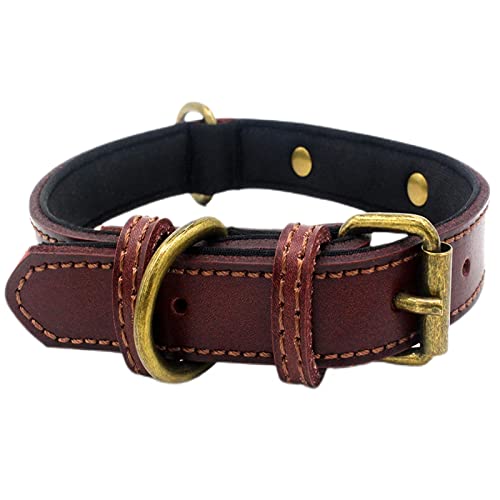 Collar de Perro Tapizado de Cuero Personalizado Collar de Perro Marrón con Nombre de Mascota y Número de Teléfono Grabados Adecuado para Perros Grandes L 2.3CM de Ancho Cuello Ajustable 37-47CM Cover
