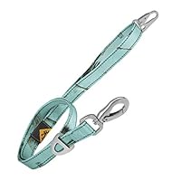 Algopix Similar Product 1 - Browning Classic Dog Leash RT Xtra