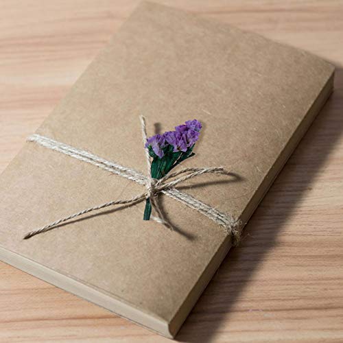 EXCEART 3 pacotes de flores secas naturais prensadas secas para artesanato com pingente de vela de s
