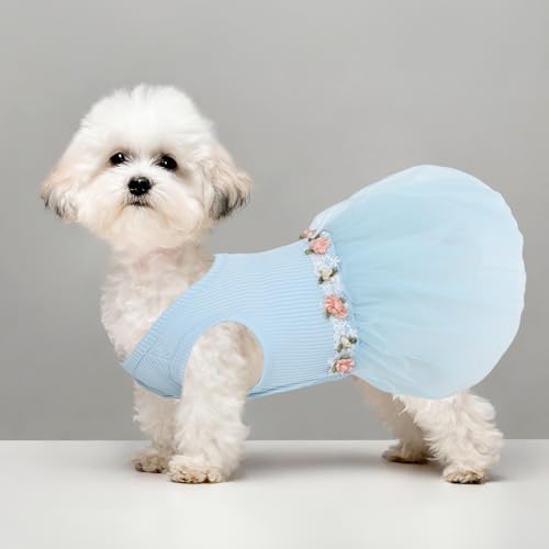 Image of CuteBone Blue Tulle Skirt Dog Wedding Bridesmaid Dress for Puppy with Lace Trim at Waist - Comfortable, Stylish, and Perfect for Special Occasions HBQ03L