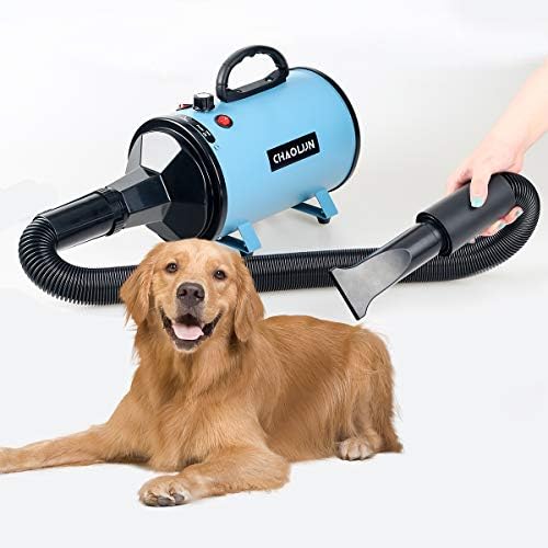 Are Blow Dryers Bad For Dogs