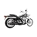 Freedom Performance Exhaust UNION 2-INTO-1 BLK HD00109