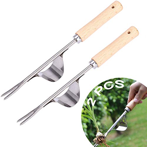 Extractor Manual De Malezas Desherbador Manual Eliminar Malas Hierbas Extractor Weeder De Mano De Jard�n Azadillas Herramientas De Desmalezado Con Mango De Madera Natural Para Jard�n 2 Piezas