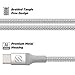 Scosche CCB10SR-SP Strikeline USB-C to USB-C Sync Braided Charging Cable, 10 feet, Silver