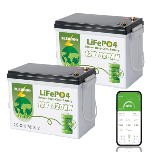 24V 320AH LiFePO4 Battery, Bluetooth Lithium Battery, Max.Energy 8192Wh, Built-in 200A BMS, Up to 15000+ Cycles Rechargable for RV, Motorhome, Trolling Motor, Marine, Backup Power, Off-Grid