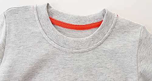 Image of Toddler Boy's Cotton Crewneck Long Sleeve Sweatshirt