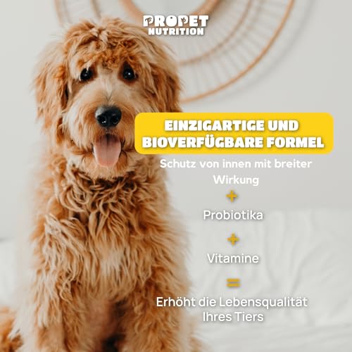 W-kur Hund Natürliche Abwehr gegen ungebetene Gäste – Darmwohl Hund – 120 Tabletten – Natürlicher Kräuterkomplex mit Probiotika & B-Vitaminen – Unterstützung des Darmmilieus & inneres Gleichgewicht