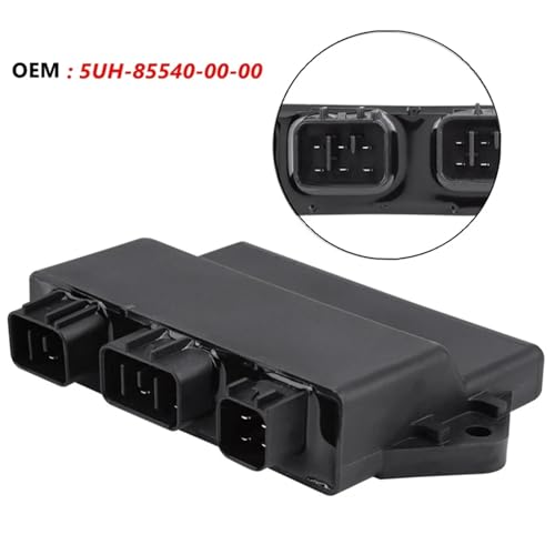 Bobina encendido motocicleta y módulo CDI compatible con Yamaha Wolverine 2