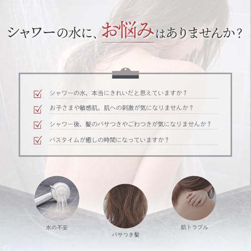 fravita ビタミンシャワーフィルター (サイプレスフォレスト)