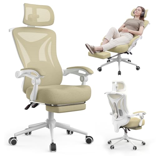 Ergonomic Office Chair with Footrest