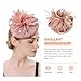 Beaupretty Women’s Mesh Flower Headband with Decorative Plume for Tea Party and Wedding, Fashionable Dressy Special Occasion Accessory