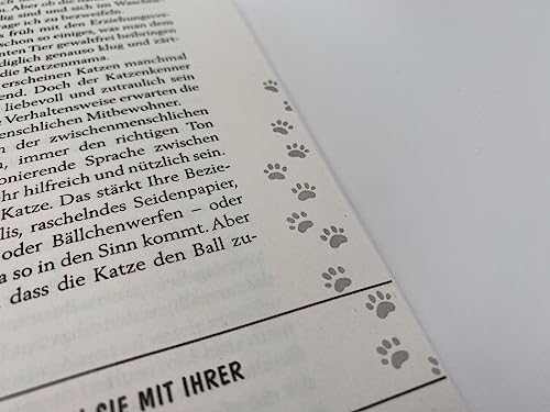Pfoten vom Tisch!: Meine Katzen, andere Katzen und ich | Der SPIEGEL-Bestseller #1 jetzt im Taschenbuch