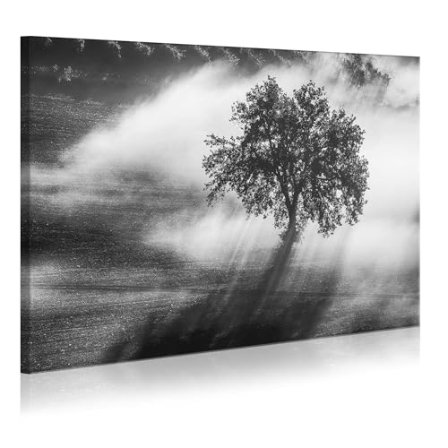 Grand arbre noir et blanc decoration brumeuse pour chambre cosy