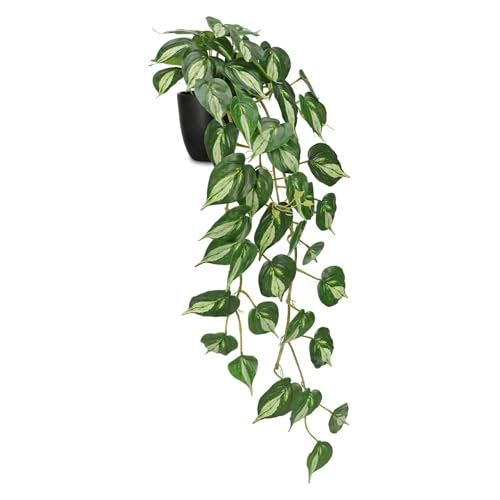 Villa Como tFCNO[ CeAO[ |bgt |gX A  V nMO ݂艺 Ǌ| lHϗtA  킢 (|gX01, )