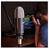 SUBZERO SZC-1 Large Diaphragm Condenser Microphone #2