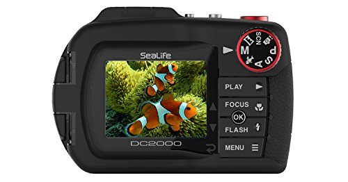 DC2000 Camera - Thumbnail 2