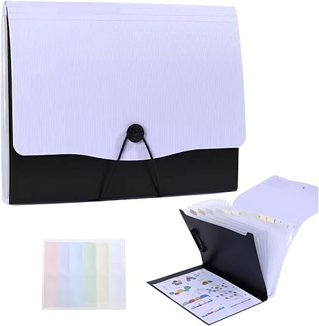 Seafrrzios Envelope Holder Storage Case, Office Document File Folder for Papers & Projects, Display Presentation Organizer Plastic File for Certificates & Portfolio (Light Purple)