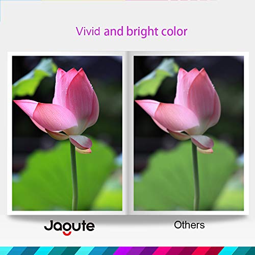 Jagute 34XL Compatibile Cartucce d'inchiostro Sostituzione per Epson 34 34XL per Stampante Epson WorkForce Pro WF-3725DWF WF-3720DWF WF3725 WF3720 (2 Nero, 2 Ciano, 2 Magenta, 2 Giallo)