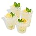 Planet + 100% Compostable PLA Clear Cold Cup, 20-Ounce, 1000-Count Case