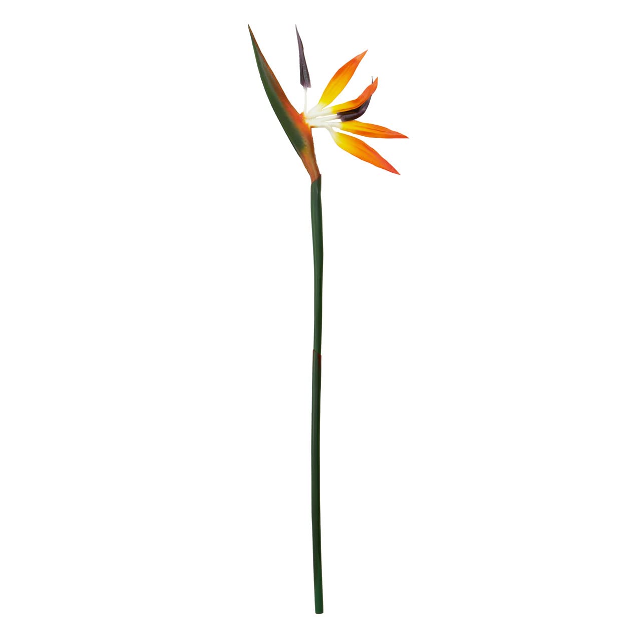 Premier Housewares Bird of Paradise Faux Flower - 92cm Orange, Exotic Tropical Decor