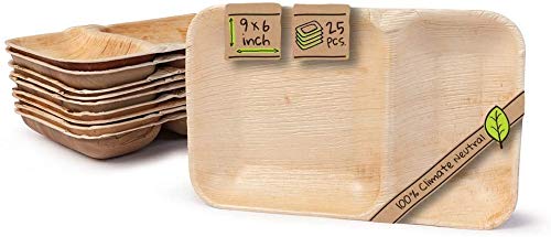 Areca Leaf Tableware I 25 Pieces Areca Plate (9 x 6) inch Rectangular Plate with 2 Compartment I Bio Disposable Biodegradable Party Tableware Disposable Tableware compostable