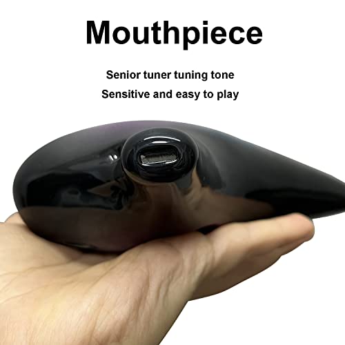 DHwebWLP 12 Hole Ocarina Instrument With Song Book for Beginner,Alto C Ceramic Ocarina(Starry Blue & Purple & Black) - Thumbnail 7