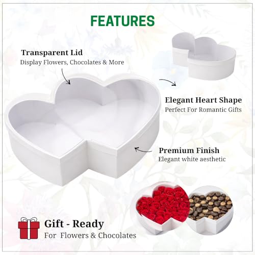 Image of Oasis Pack of 2 Double Heart Shaped Gift & Flower Hamper Boxes With Clear Lid | Classic Bouquet Box for Flower Arrangements & Gift Hampers | Decorative Gift Packaging Box - White Twin Lux Heart
