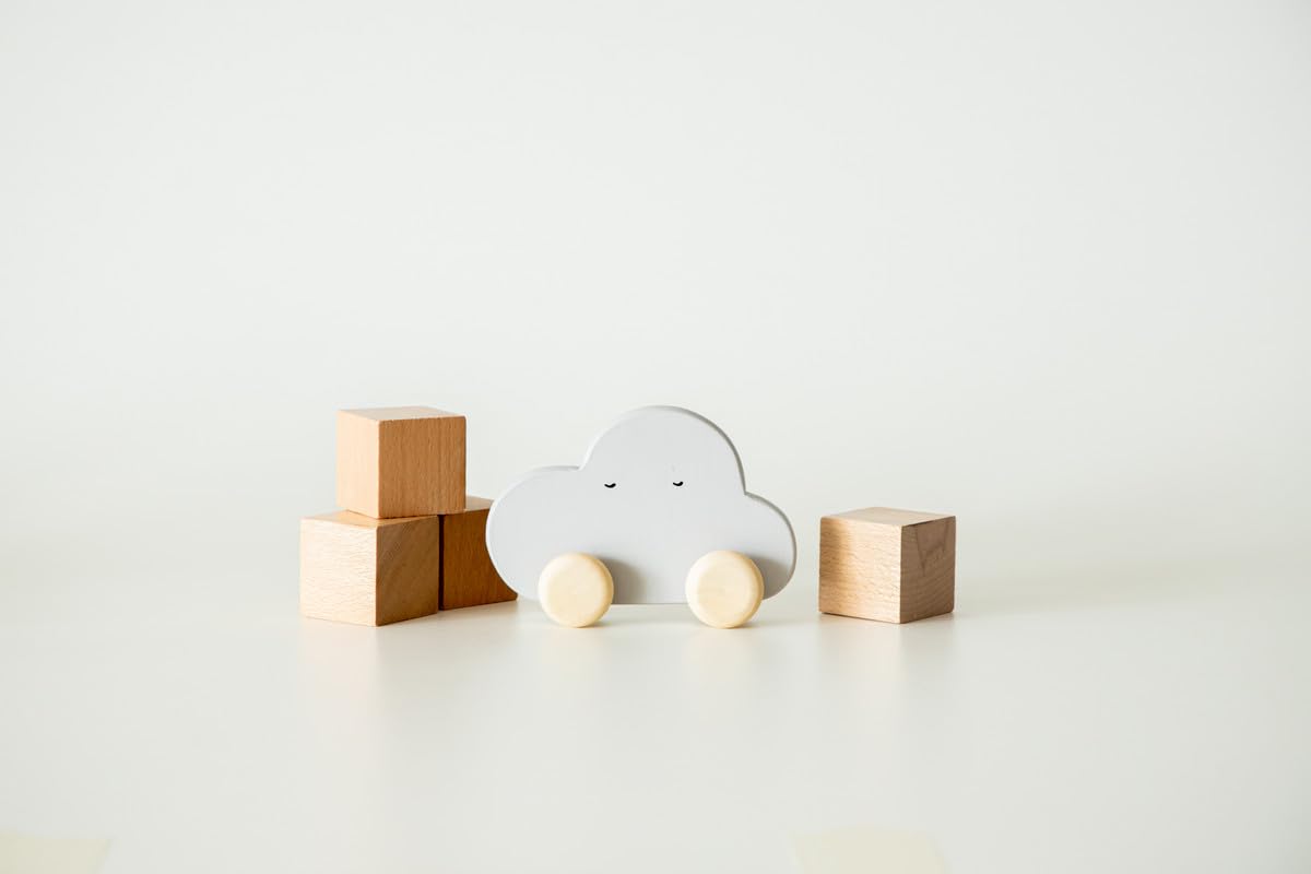 Birch Cloud Roller Toy-image-39