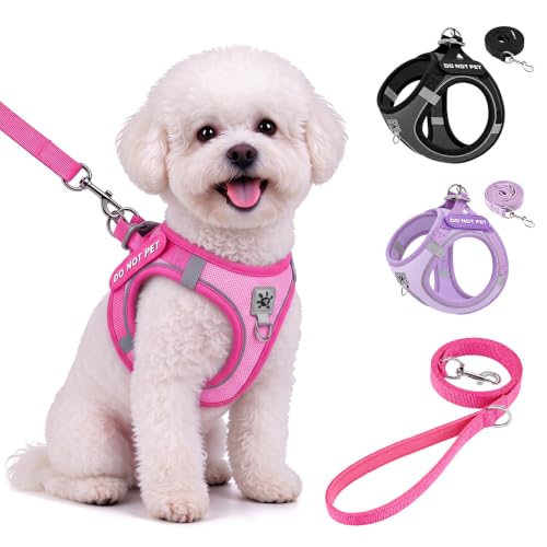 SlowTon Small Dog Harness and Leash Set, Step-in No Pull Puppy Pet Vest